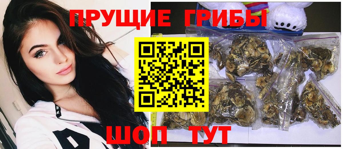 Псилоцибиновые грибы Psilocybine cubensis  Вход с VPN  Галлюциногенные грибы Psilocybe  Добрянка 